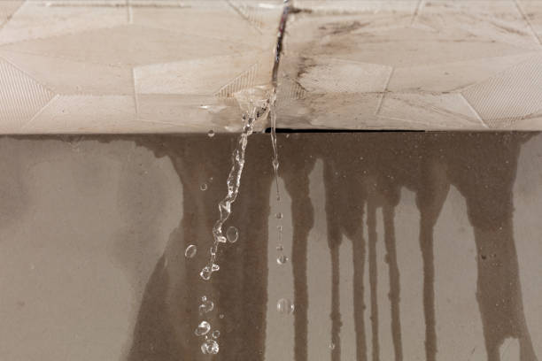 Professional Water Damage Repair technician working in Pearsall, TX